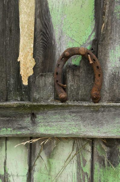 Montana Horseshoe on old fence of a homestead
